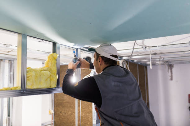 Best Insulation Installation Services in Aberdeen, OH